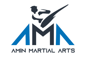 Amin Martial Arts